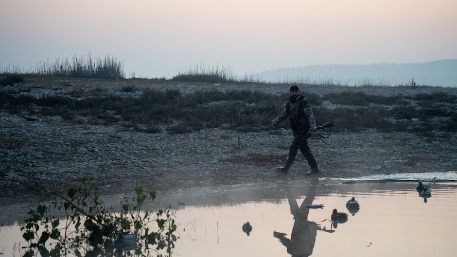 What are lotro hunter traits?