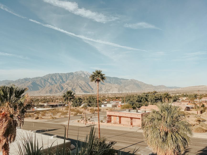 giant-joshua-tree-california-desert-joshua-tree-california